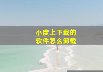 小度上下载的软件怎么卸载