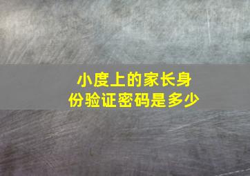 小度上的家长身份验证密码是多少