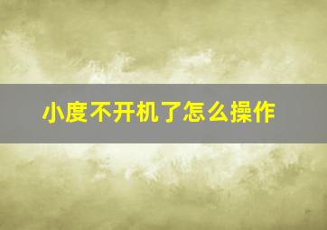 小度不开机了怎么操作