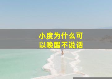 小度为什么可以唤醒不说话