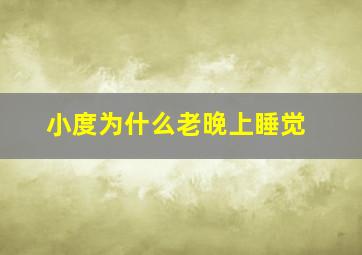 小度为什么老晚上睡觉