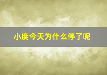 小度今天为什么停了呢