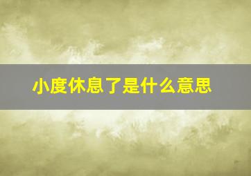 小度休息了是什么意思