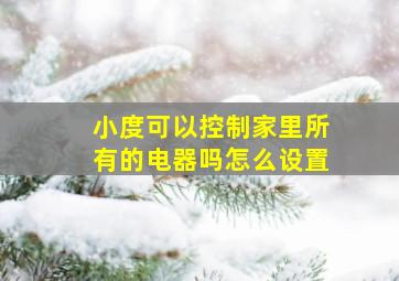 小度可以控制家里所有的电器吗怎么设置