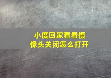 小度回家看看摄像头关闭怎么打开