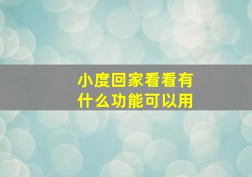 小度回家看看有什么功能可以用