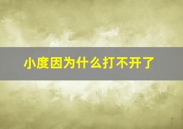 小度因为什么打不开了