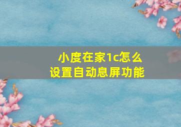 小度在家1c怎么设置自动息屏功能