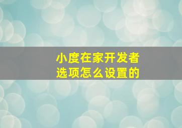 小度在家开发者选项怎么设置的