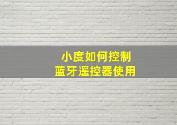 小度如何控制蓝牙遥控器使用