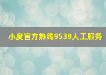 小度官方热线9539人工服务