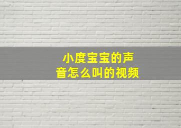 小度宝宝的声音怎么叫的视频