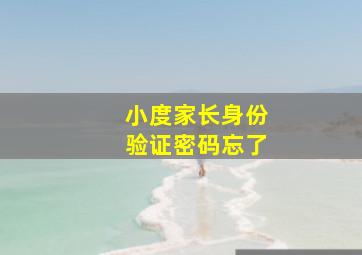 小度家长身份验证密码忘了