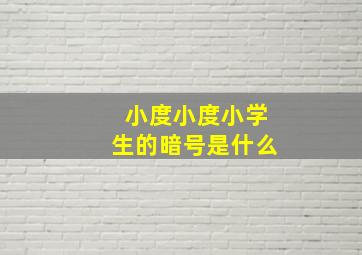 小度小度小学生的暗号是什么