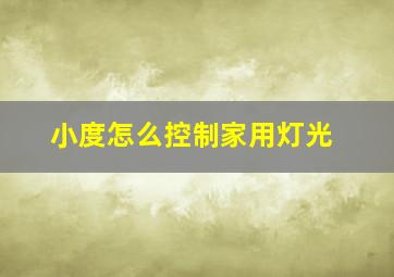 小度怎么控制家用灯光