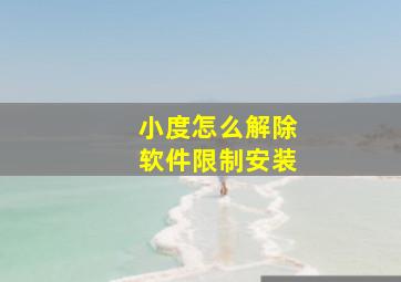 小度怎么解除软件限制安装