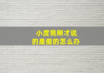 小度我刚才说的是假的怎么办