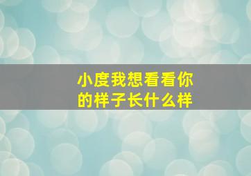 小度我想看看你的样子长什么样