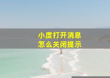 小度打开消息怎么关闭提示