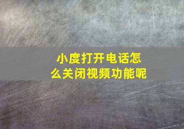 小度打开电话怎么关闭视频功能呢