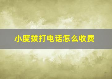 小度拨打电话怎么收费