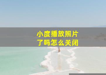 小度播放照片了吗怎么关闭