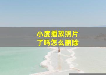 小度播放照片了吗怎么删除