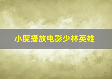 小度播放电影少林英雄