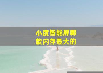 小度智能屏哪款内存最大的