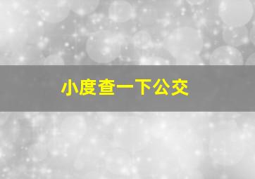 小度查一下公交