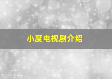 小度电视剧介绍