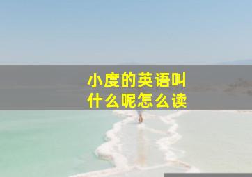 小度的英语叫什么呢怎么读