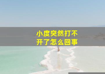 小度突然打不开了怎么回事