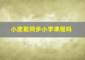 小度能同步小学课程吗