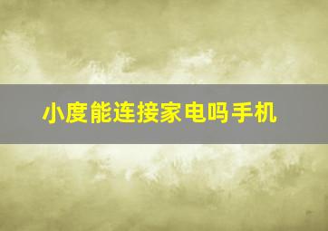 小度能连接家电吗手机