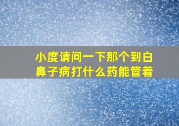 小度请问一下那个到白鼻子病打什么药能管着