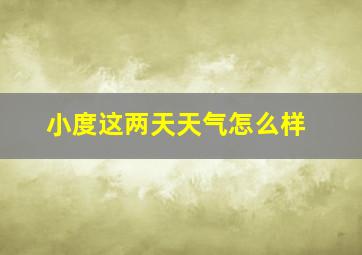 小度这两天天气怎么样