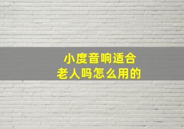 小度音响适合老人吗怎么用的