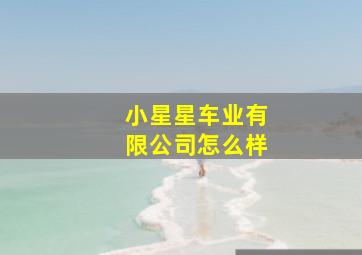 小星星车业有限公司怎么样