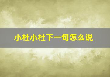 小杜小杜下一句怎么说