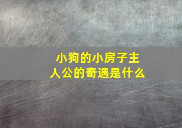 小狗的小房子主人公的奇遇是什么