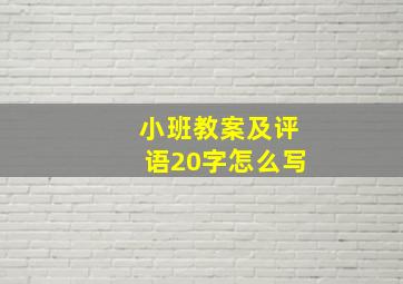 小班教案及评语20字怎么写