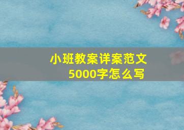 小班教案详案范文5000字怎么写