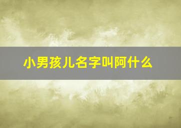 小男孩儿名字叫阿什么