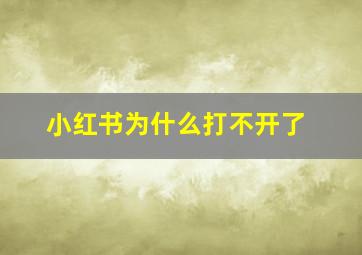 小红书为什么打不开了