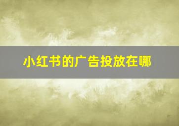 小红书的广告投放在哪