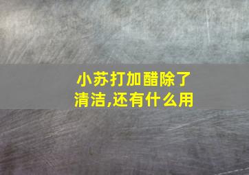 小苏打加醋除了清洁,还有什么用