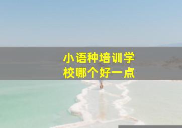 小语种培训学校哪个好一点