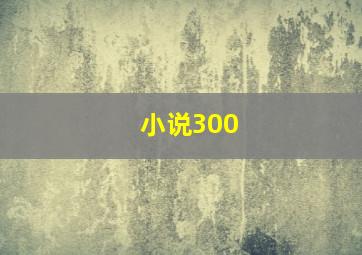 小说300