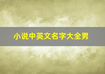 小说中英文名字大全男